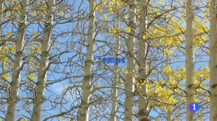 L'Informatiu - El temps - 7/12/11