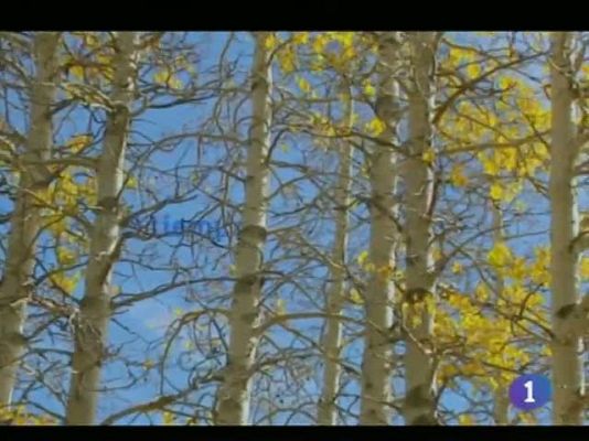 Noticias de Castilla-La Mancha - El tiempo en Castilla-La Mancha - 07/12/11