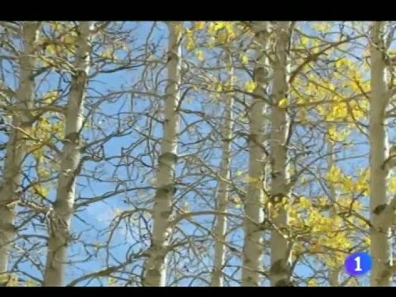 El tiempo en Andalucía - 07/12/11 | Ver