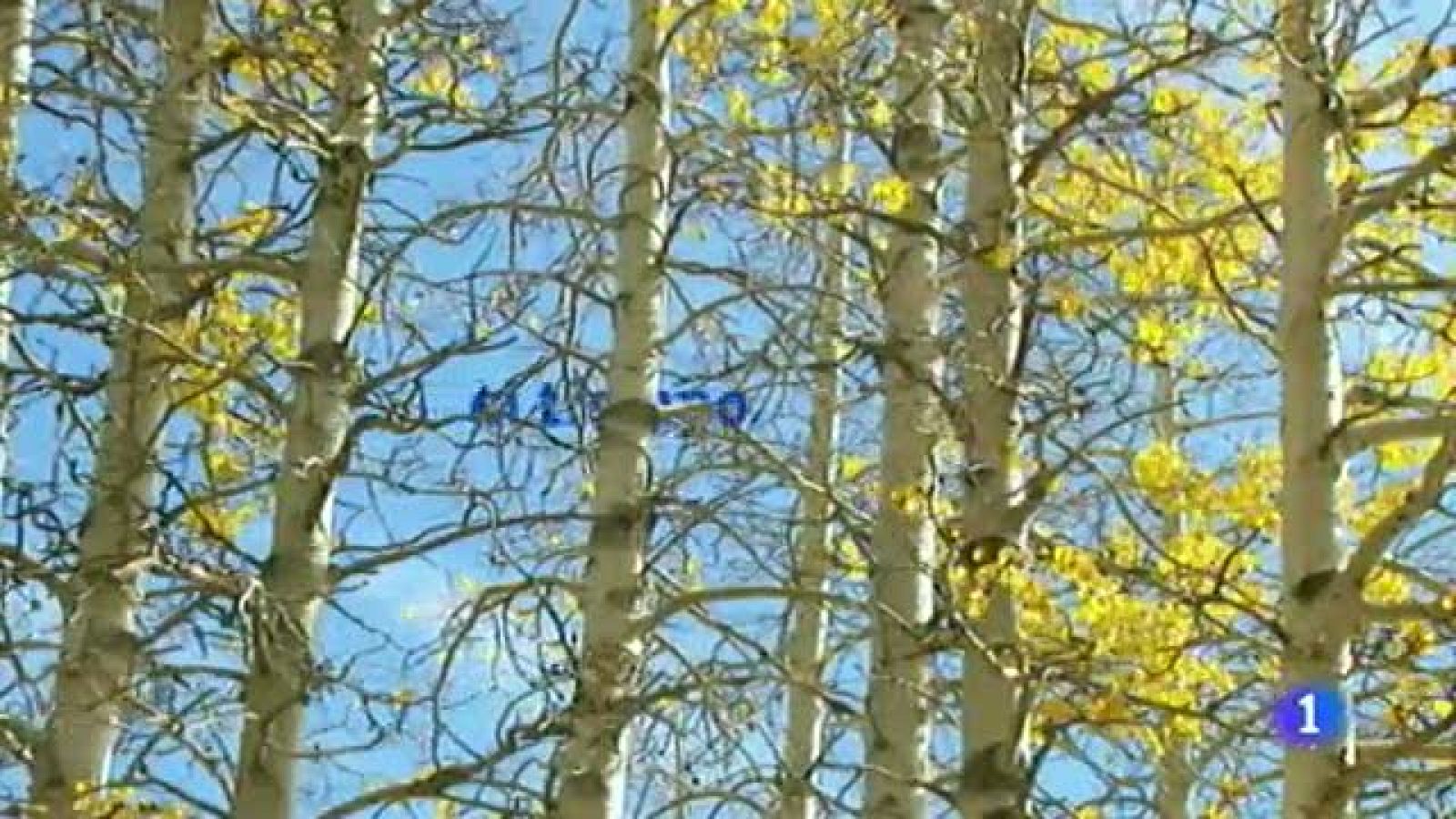 El tiempo en Canarias - 07/12/11 | Ver