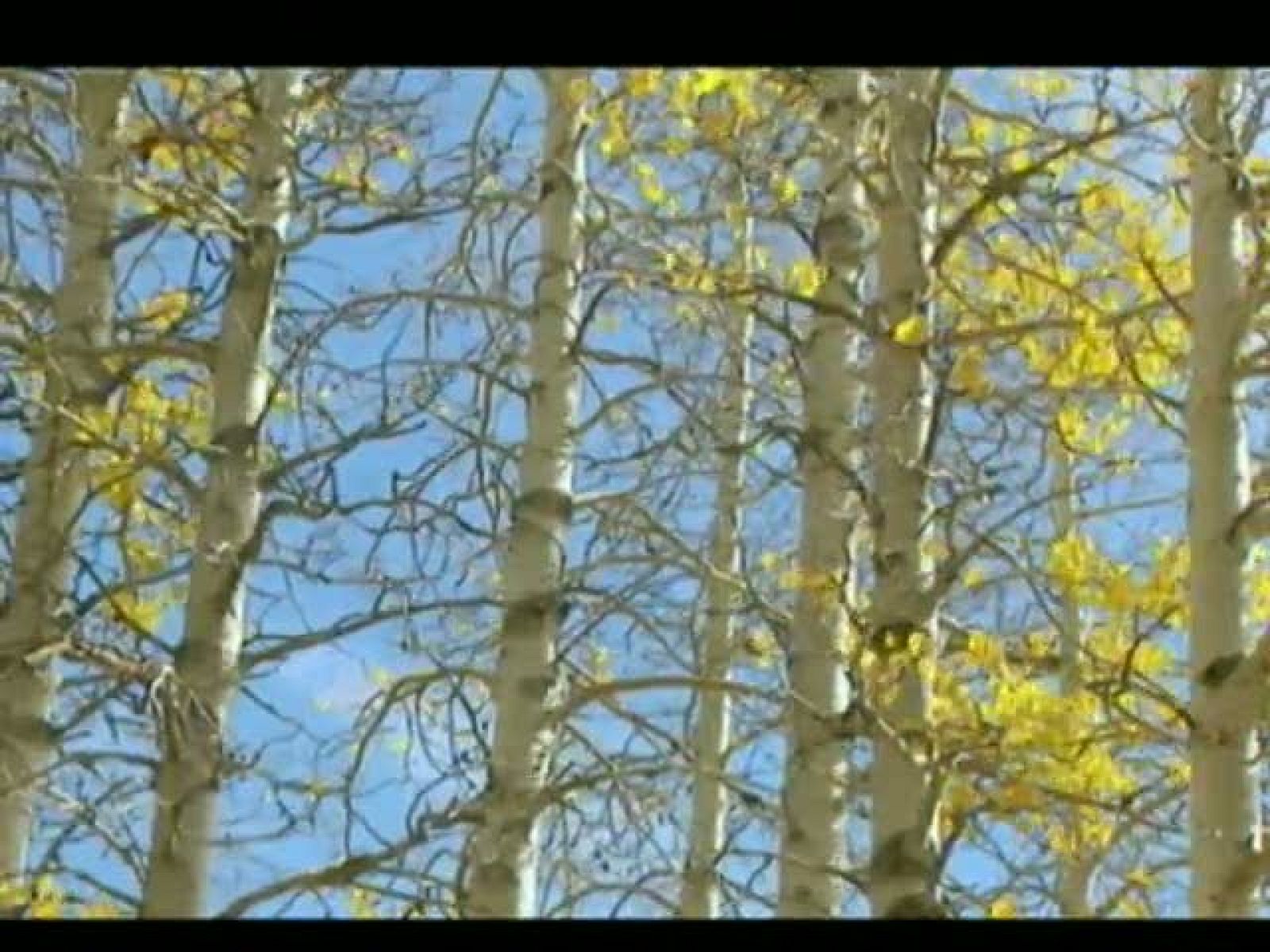 El tiempo en la comunidad de Murcia. (09/12/2011). | Ver