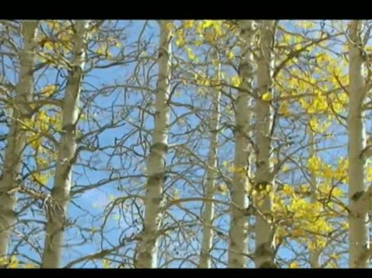 Noticias Murcia - El tiempo en la comunidad de Murcia. (09/12/2011).