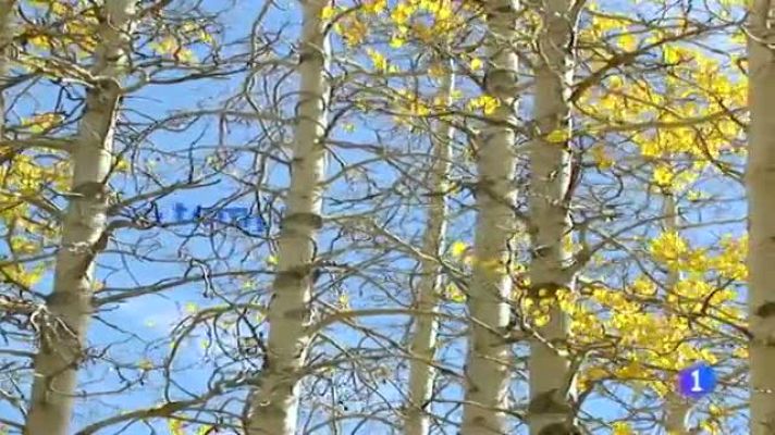 Telexornal - Galicia - El tiempo en Galicia - 09/12/11