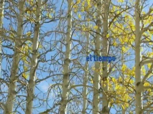 TeleCantabria - El tiempo en Cantabria - 09/12/11