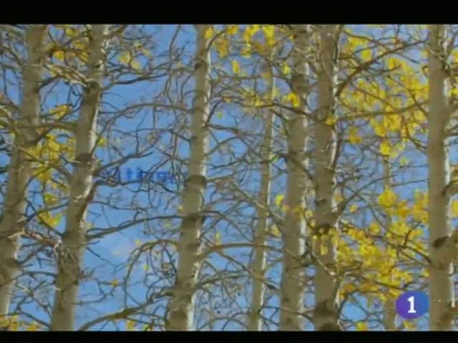 El tiempo en Castilla-La Mancha - 09/12/11 | Ver