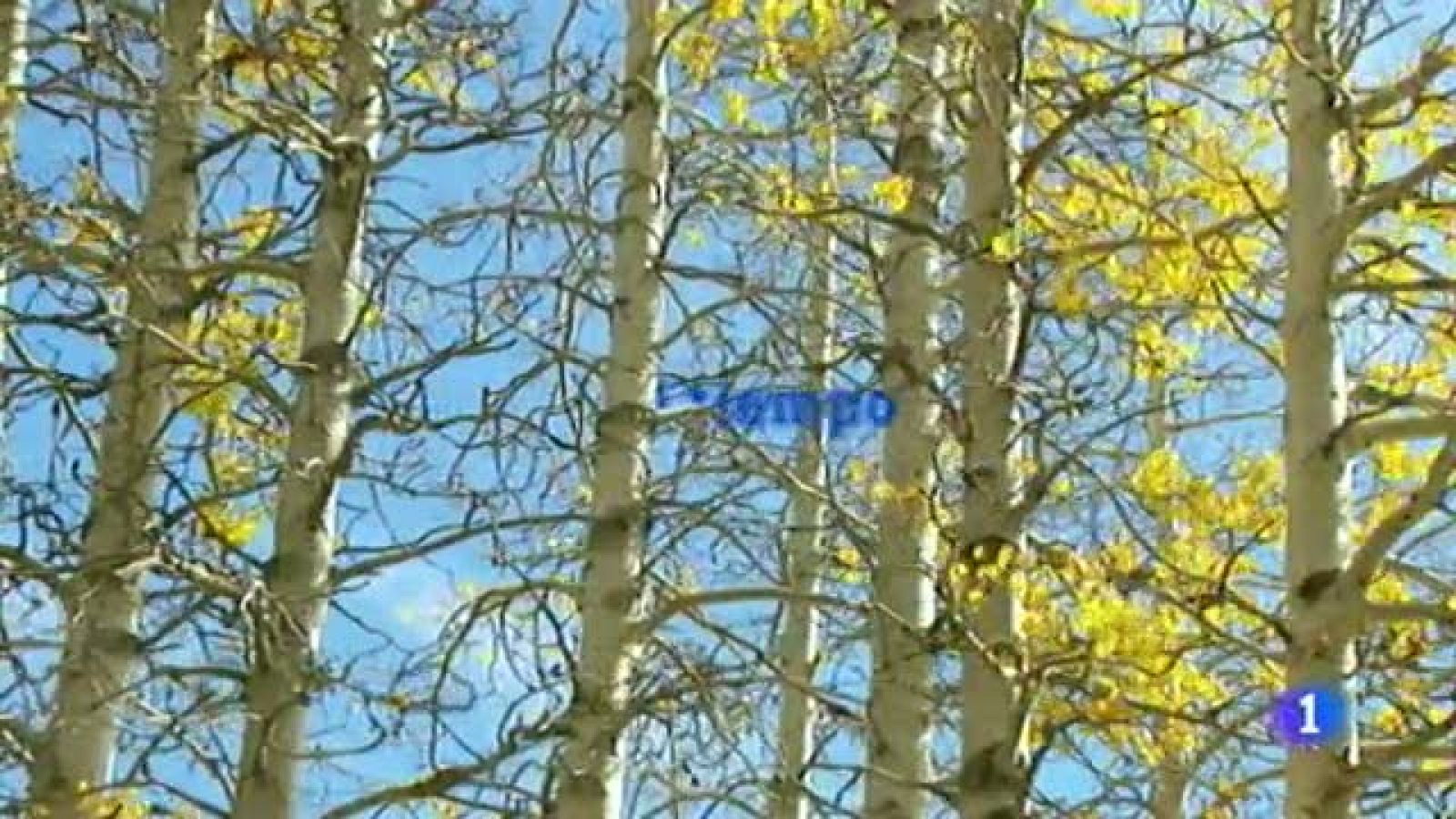 El tiempo en Canarias - 09/12/11 | Ver