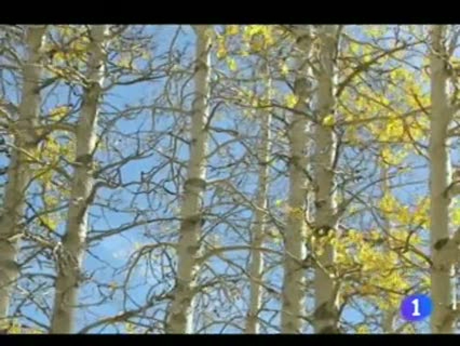 El tiempo en Andalucía - 09/12/11 | Ver