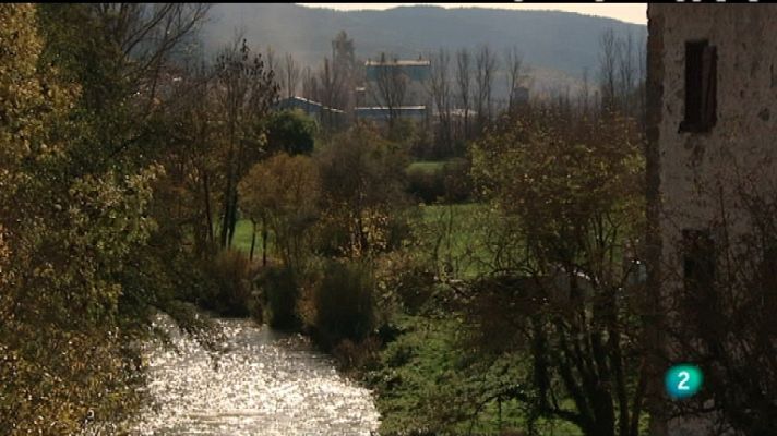 El escarabajo verde - El precio de una mina