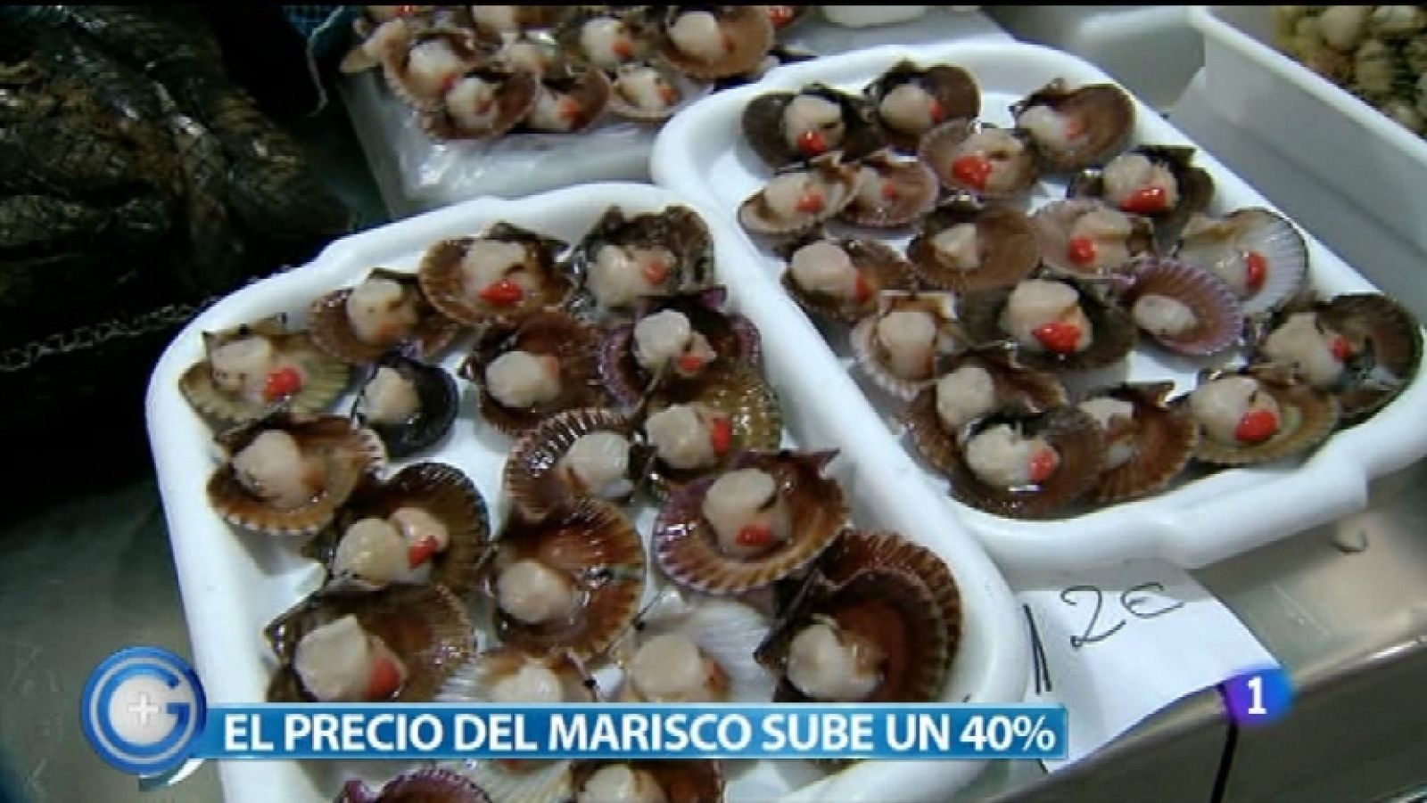 Más Gente - 09/12/11 - Ver ahora