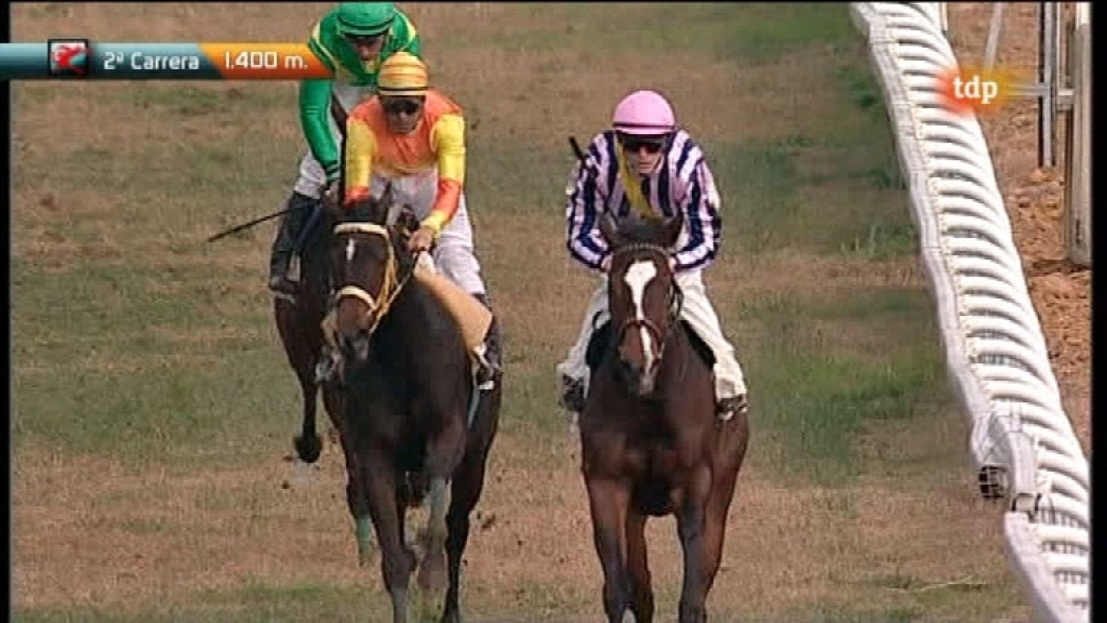 Turf - Carreras de caballos - Ver ahora