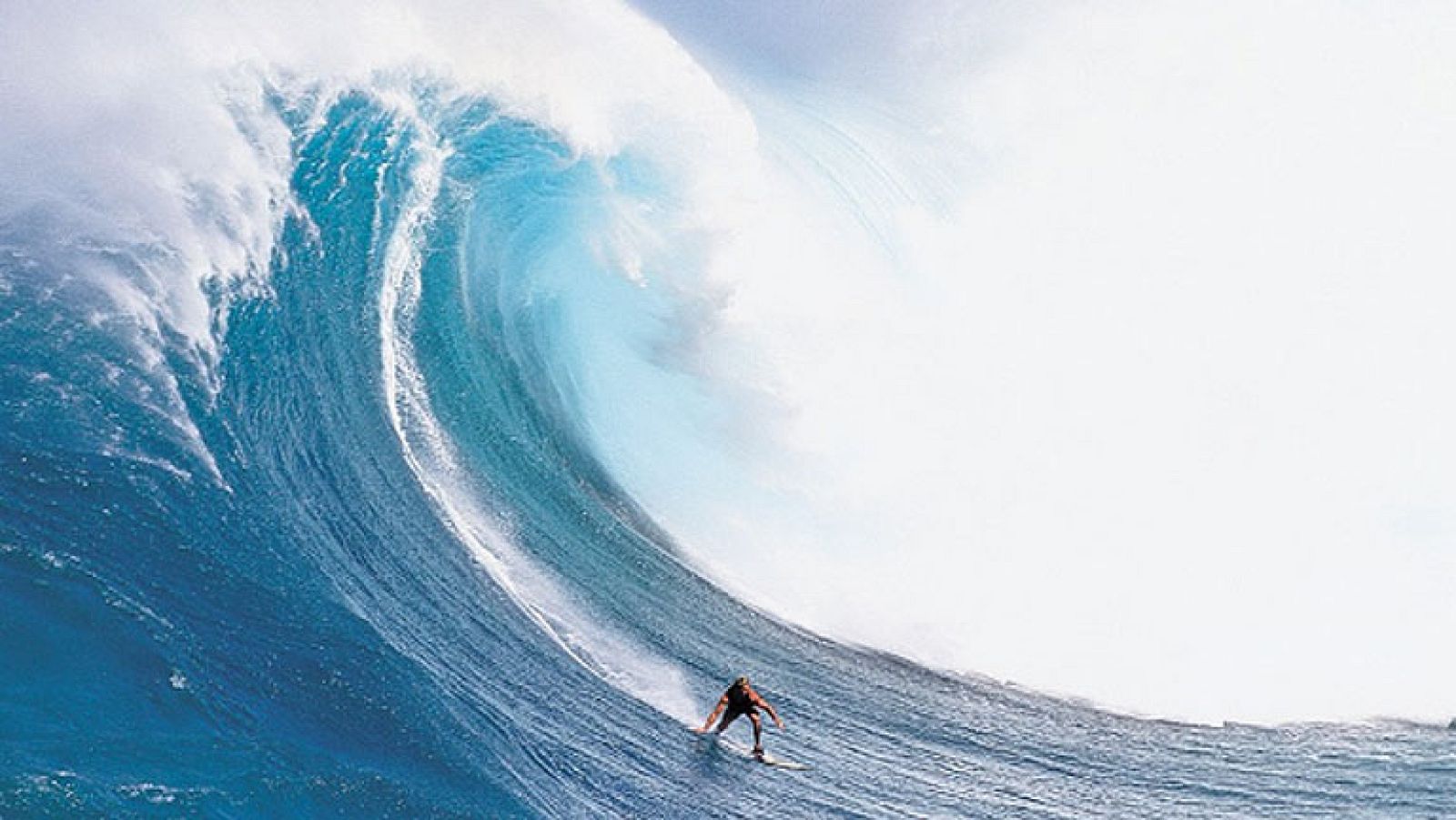 Una ola de casi 30 metros para surfistas de alto riesgo en Nazaré, Portugal.