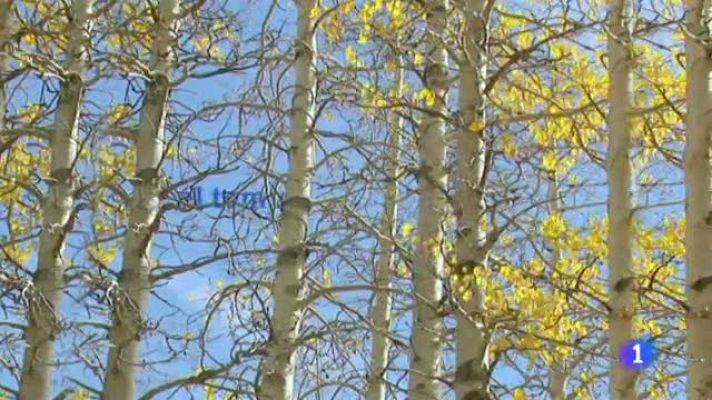 L'Informatiu - El temps - 12/12/11