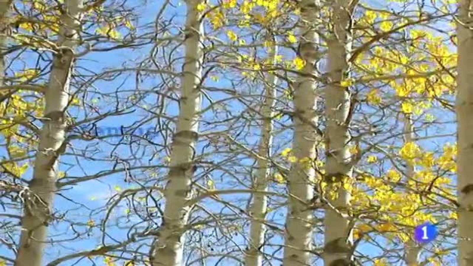 El tiempo en Galicia - 12/12/11