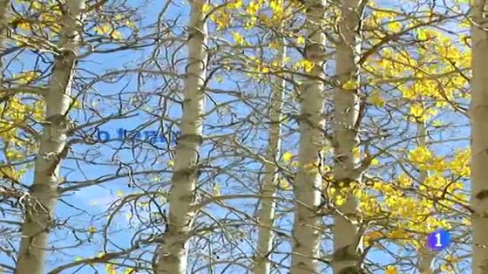 Telexornal - Galicia - El tiempo en Galicia - 13/12/11