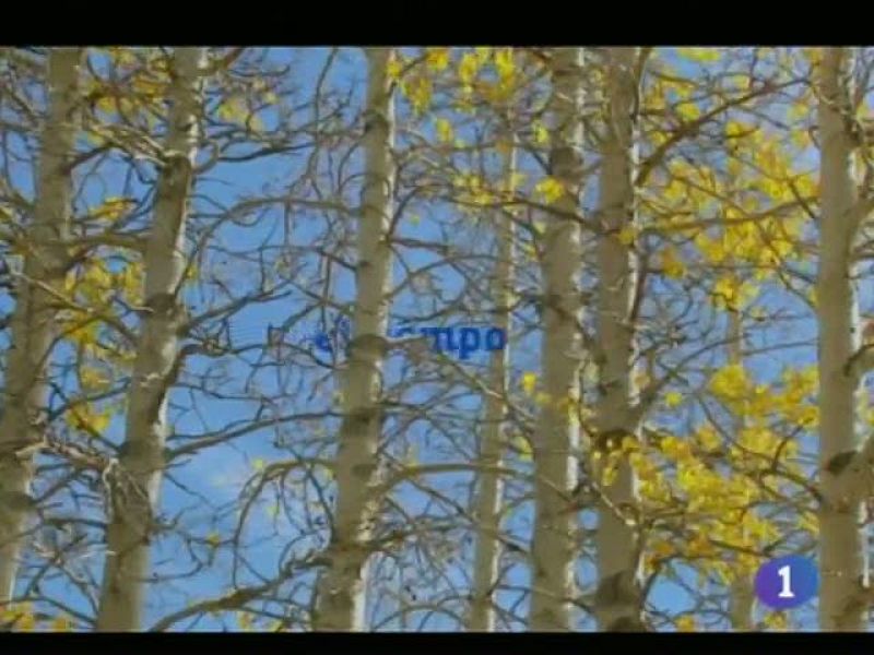 El tiempo en Castiilla-La Mancha - 13/12/11 | Ver