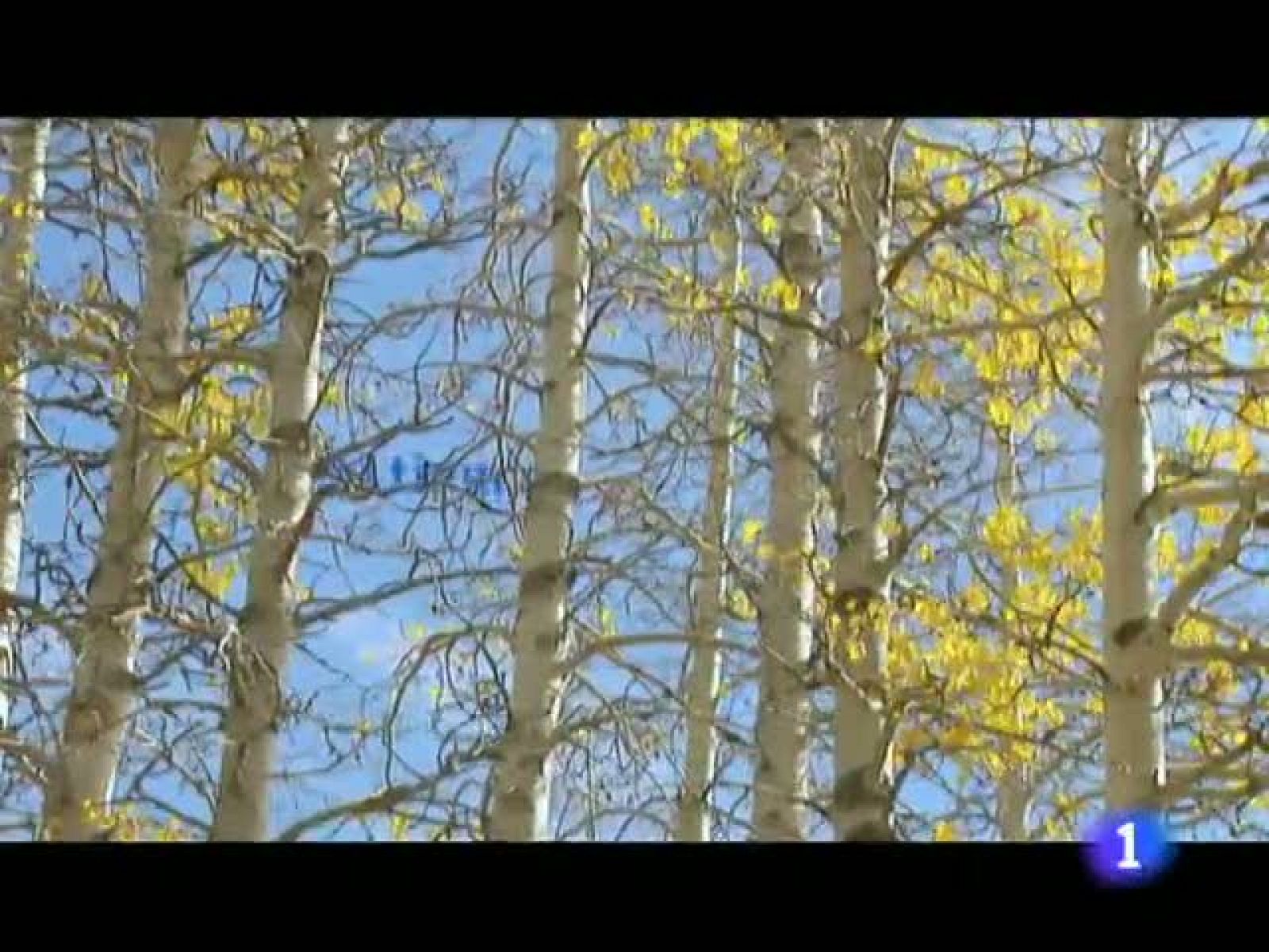 El tiempo en La Rioja - 13/12/11 | Ver