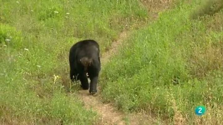 Para todos La 2 - Fundación Mona