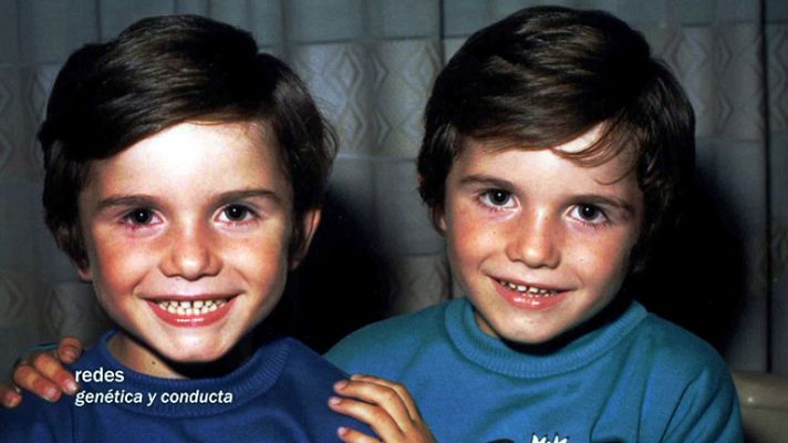 Redes - Los genes  - presentación