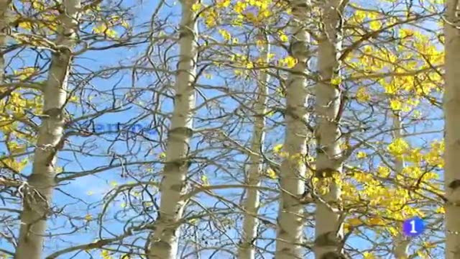 El tiempo en Galicia - 14/12/11