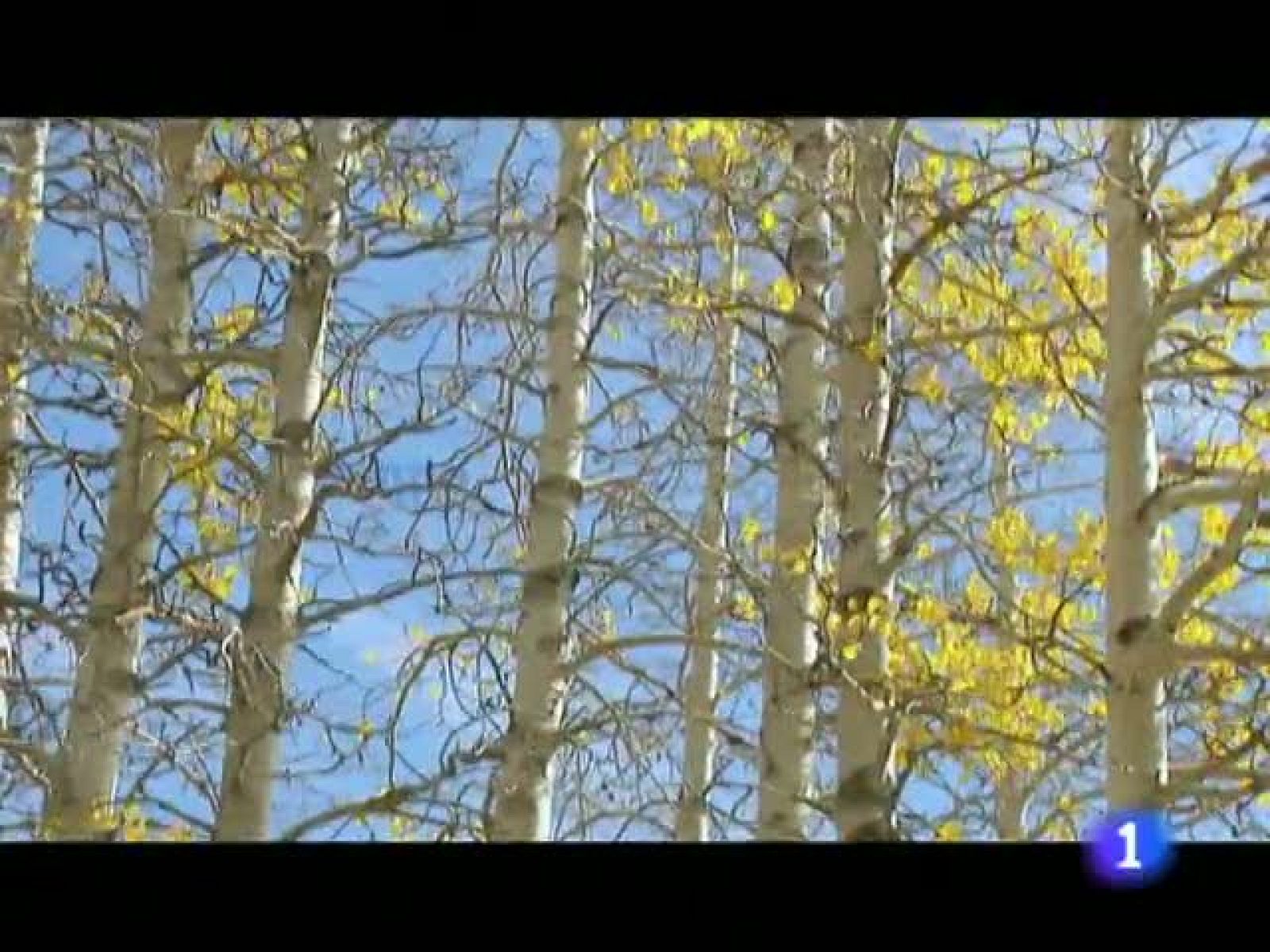 El tiempo en La Rioja - 14/12/11 | Ver