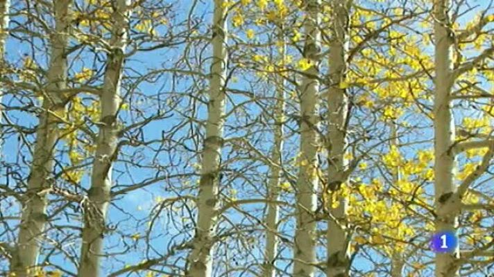 Telecanarias - El tiempo en Canarias - 14/12/2011