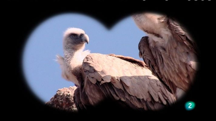 Biodiario - Biodiario - 14/12/11