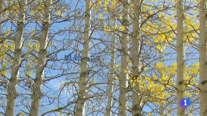 L'Informatiu - El temps - 15/12/11