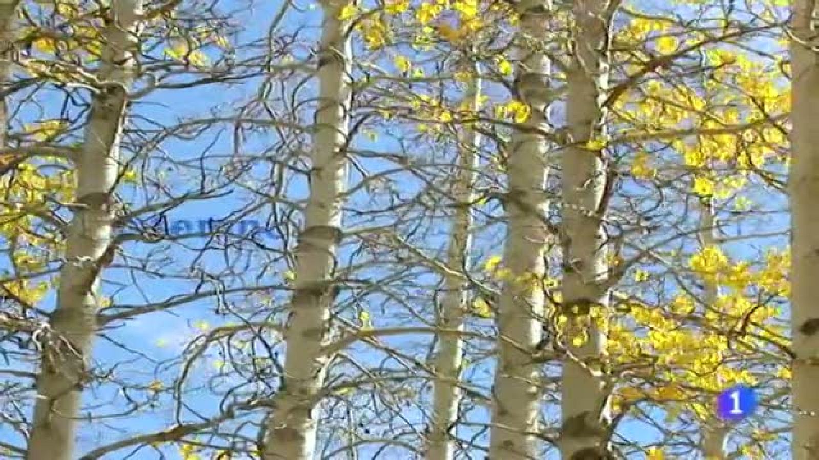 El tiempo en Galicia - 15/12/11