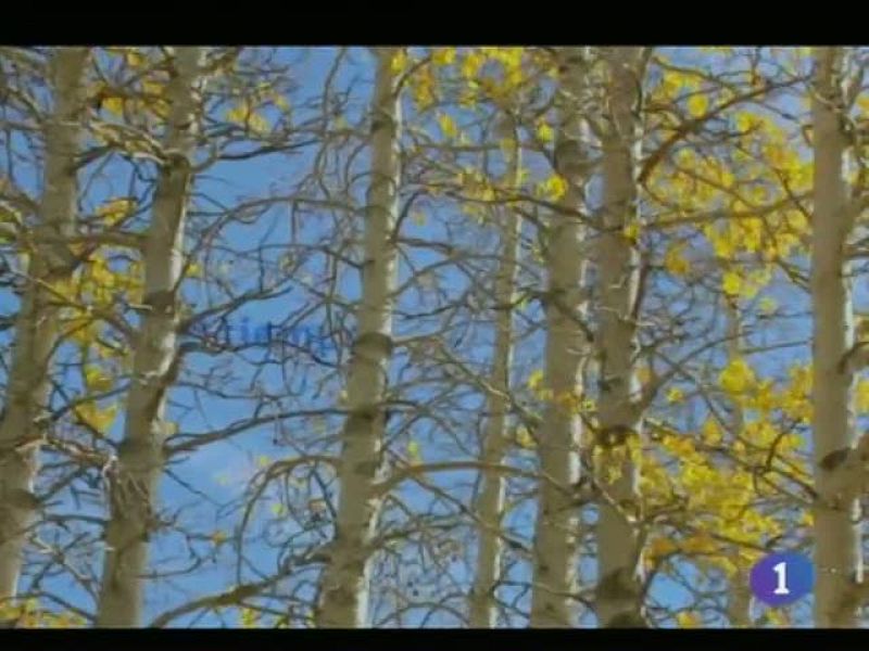 El tiempo en Castilla-La Mancha - 15/12/11 | Ver