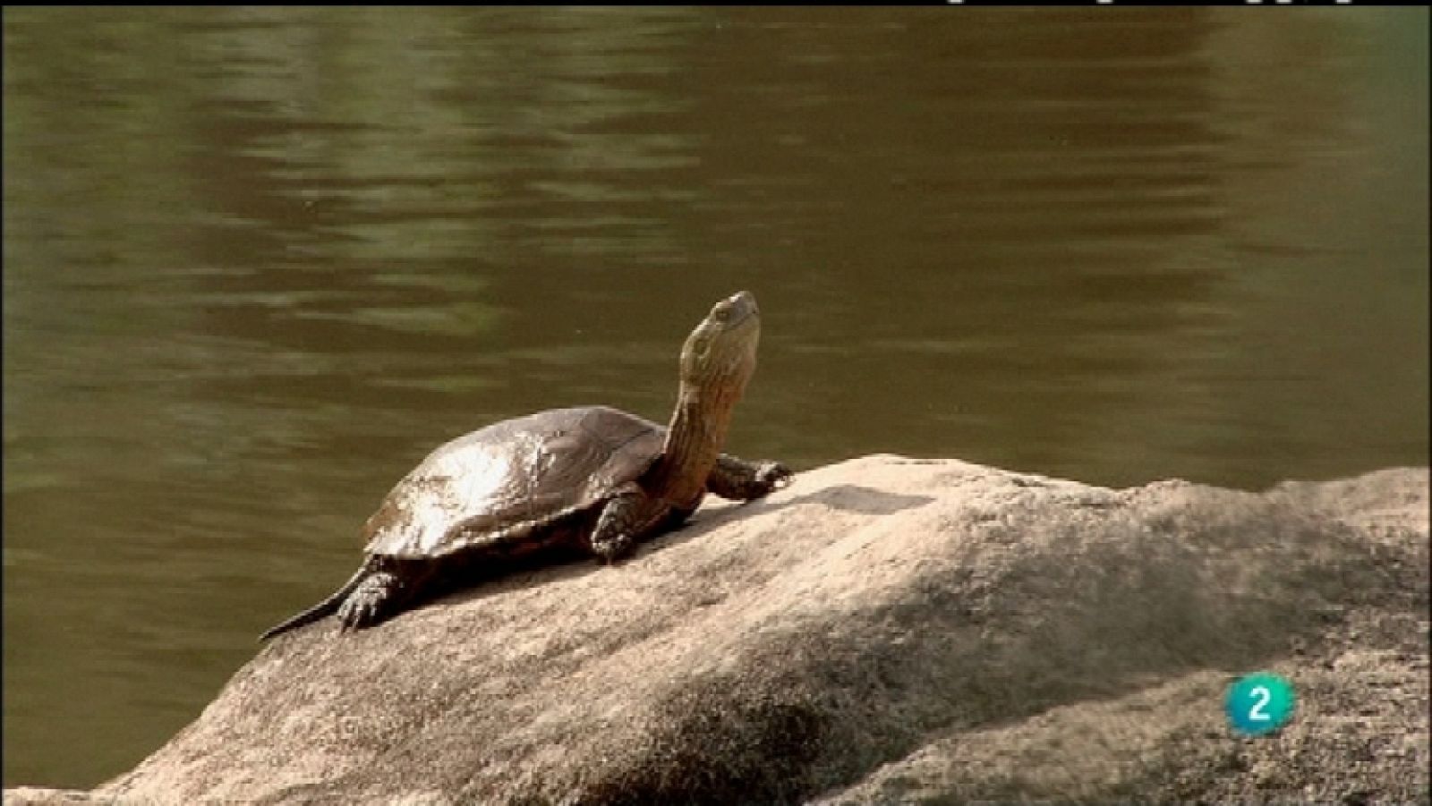 Biodiario - 15/12/11 - Ver ahora