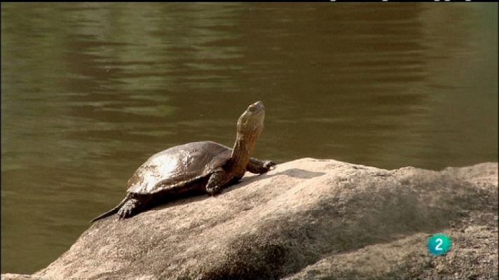 Biodiario - Biodiario - 15/12/11
