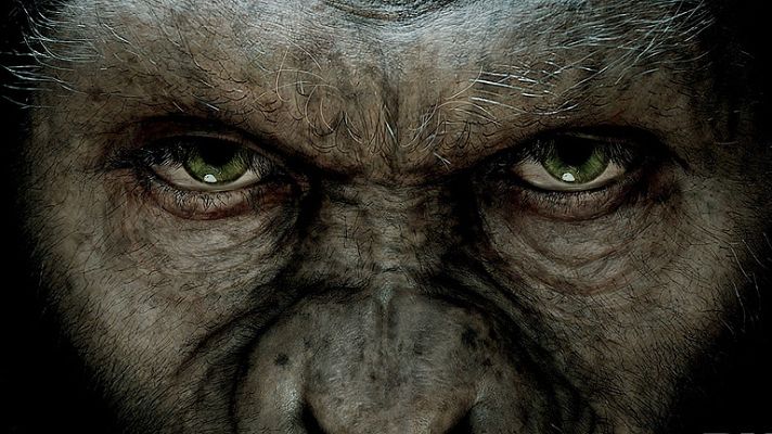 Días de cine - Días de cine - DVD: 'El planeta de los simios', 'Harry Potter y las reliquias de la muerte-2'