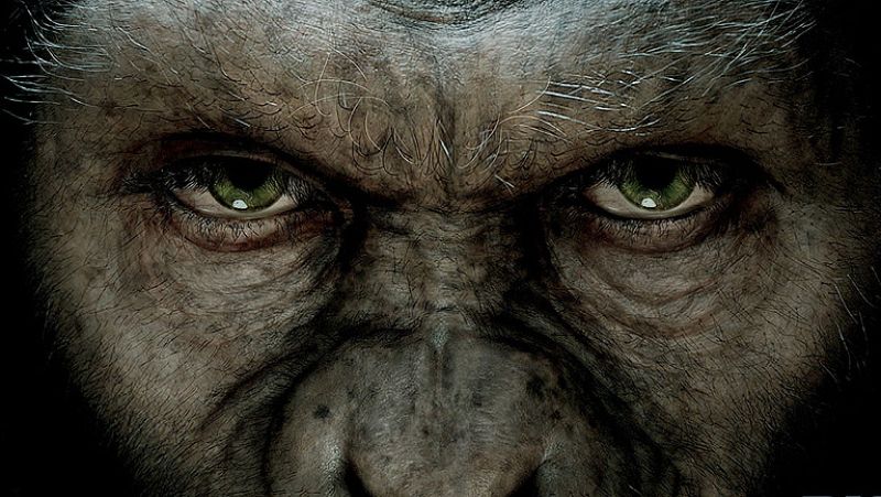 Días de cine - DVD: 'El planeta de los simios', 'Harry Potter y las reliquias de la muerte-2'