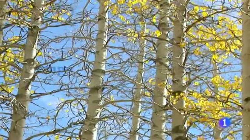 El tiempo en Galicia - 16/12/11