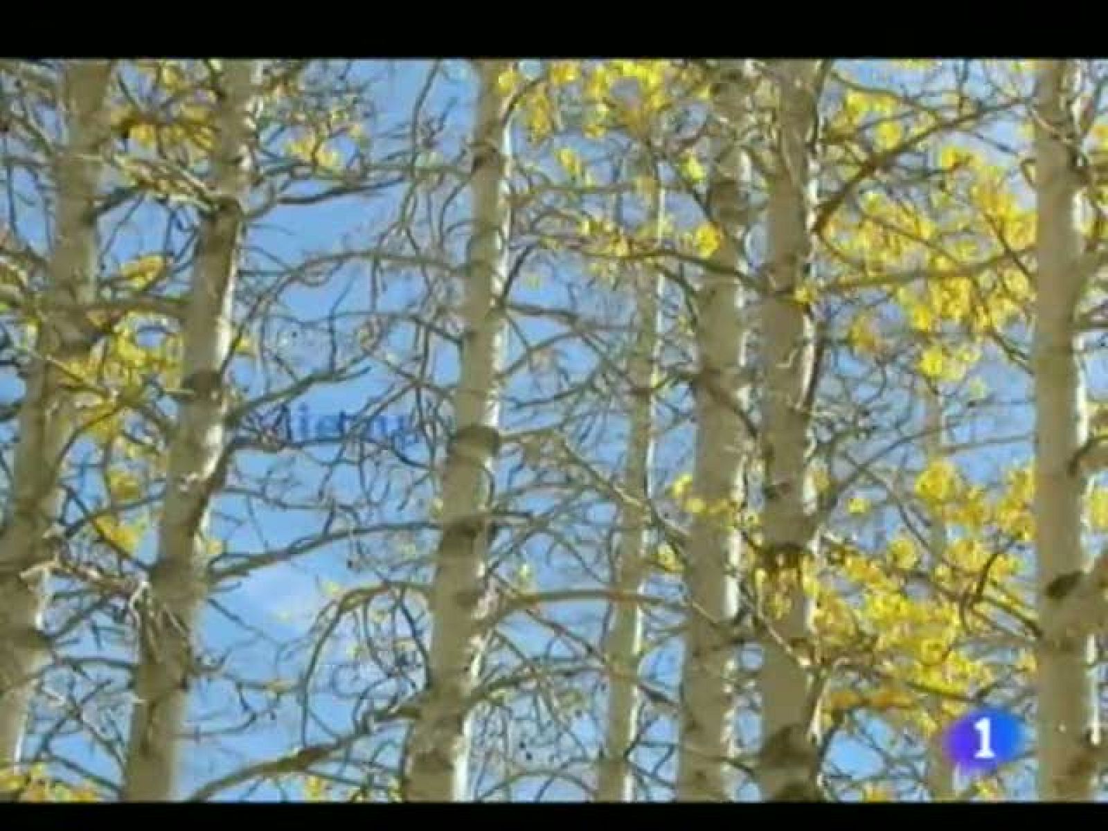 El Tiempo en la Región de Murcia. (16/12/2011).