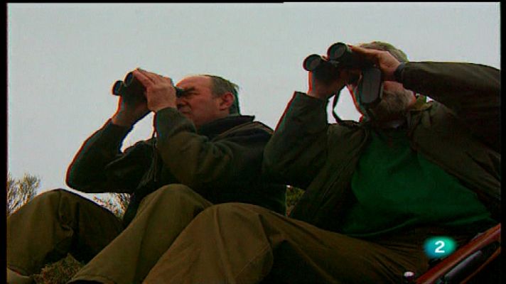 Jara y sedal - Mirando desde las nubes, 20 años