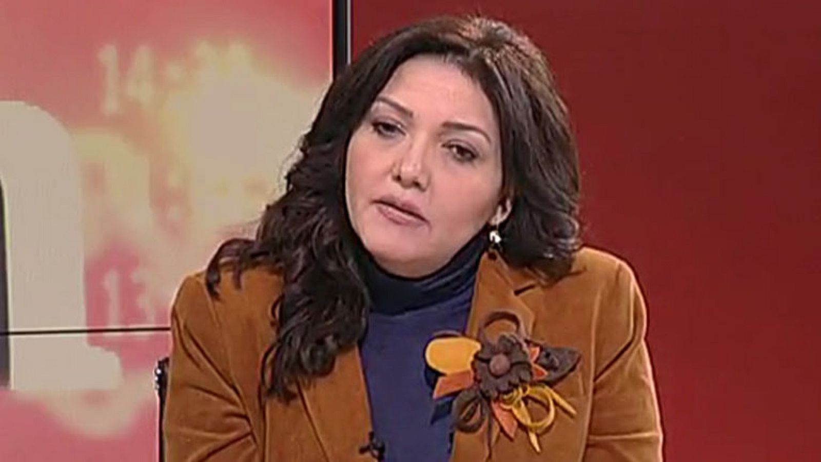 Gameela Ismail, candidata al Parlamento egipcio: "La revolución quiere llegar hasta el final"