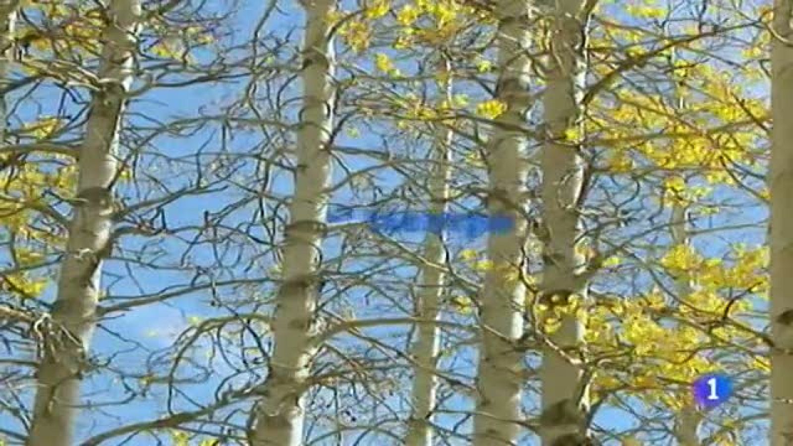 El tiempo en Canarias - 16/12/11 | Ver