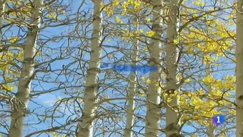 El tiempo en Canarias - 16/12/11 | Ver