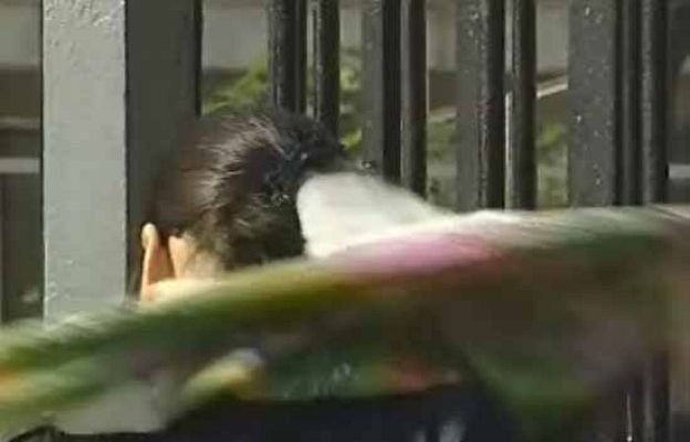  - Nuevo veto al velo en Turquía