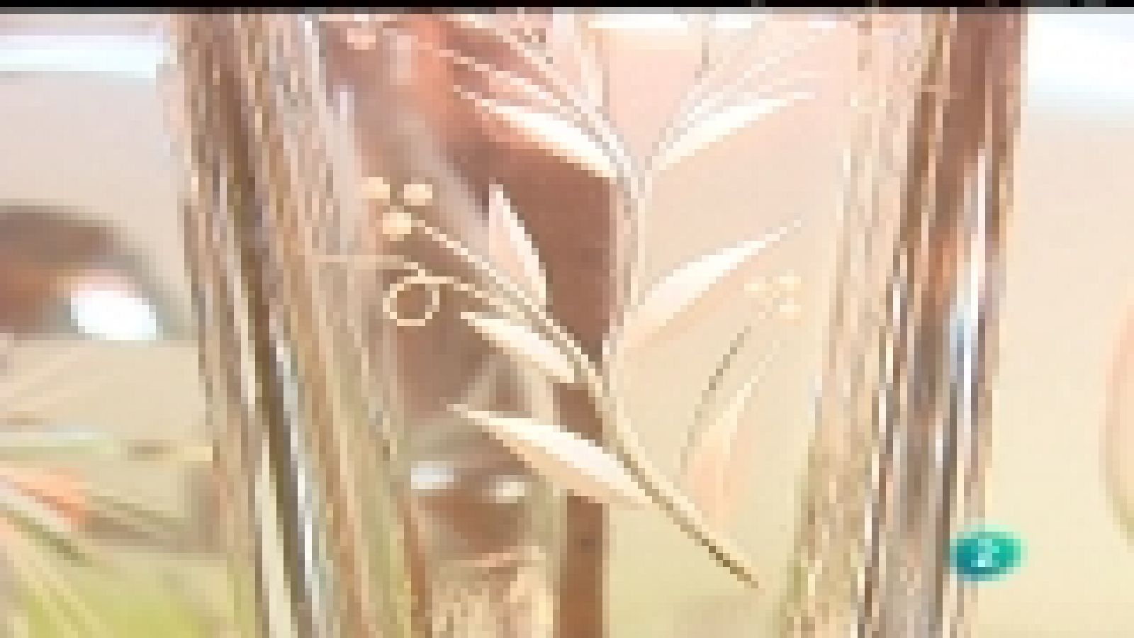 En lengua de signos  - 17/12/11 - Ver ahora