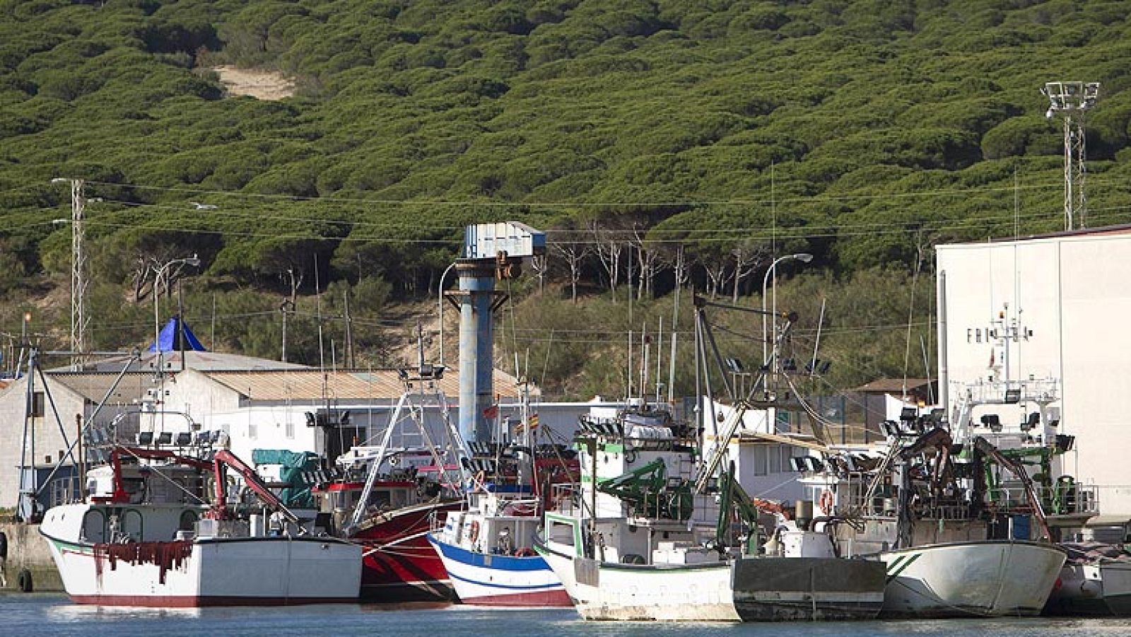 España logra una 'mejora sustancial' tras incrementar sus cuotas de pesca