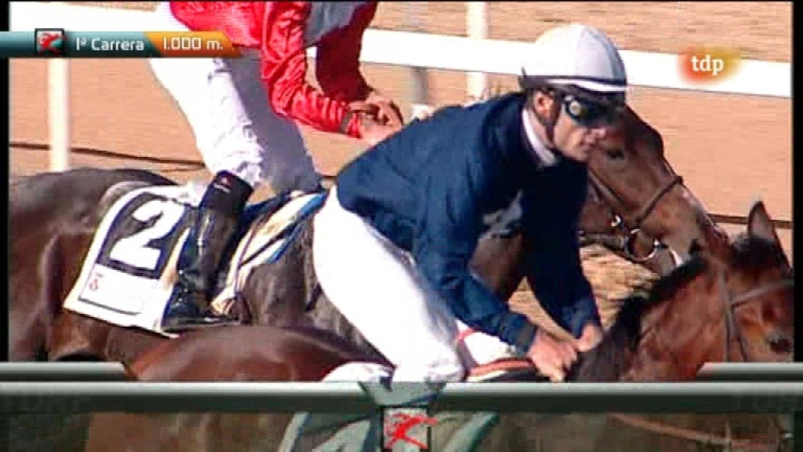 Turf - Carrera de caballos - 18/12/11 - Ver ahora