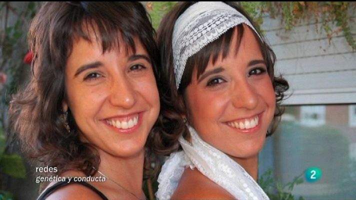 Redes - Genes que regulan la personalidad