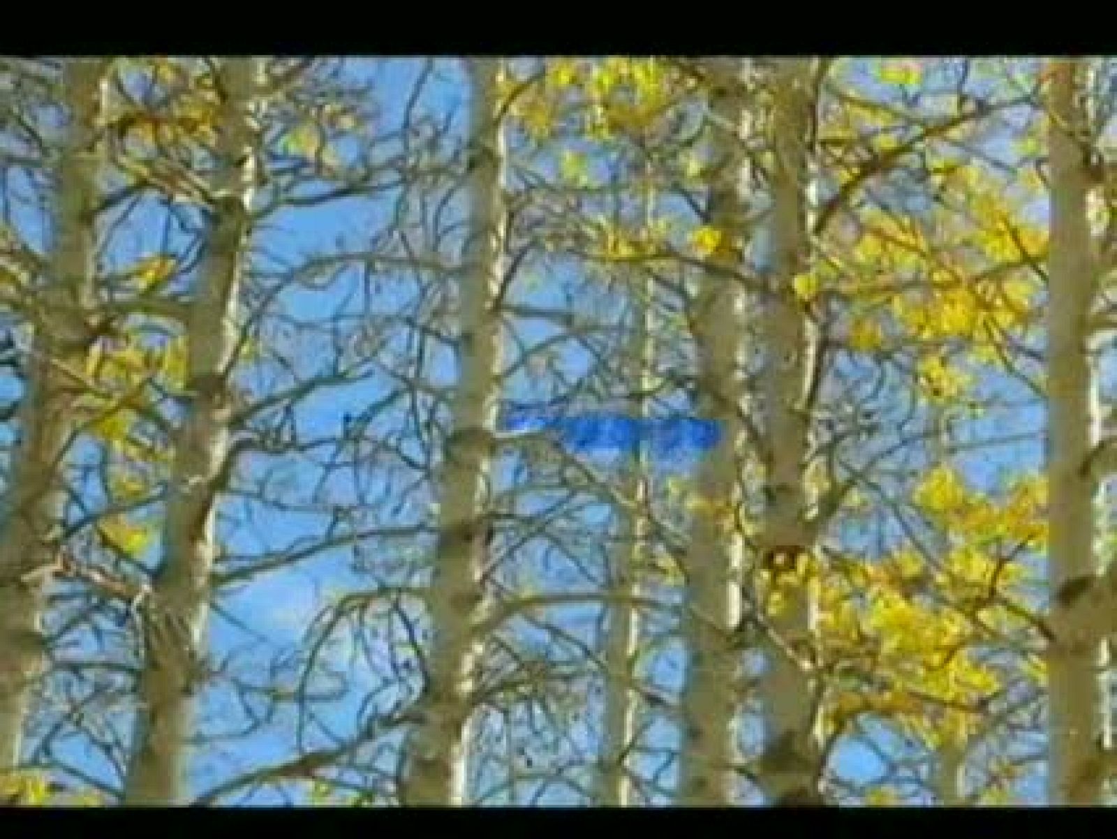 El tiempo en Andalucía - 19/12/11 | Ver