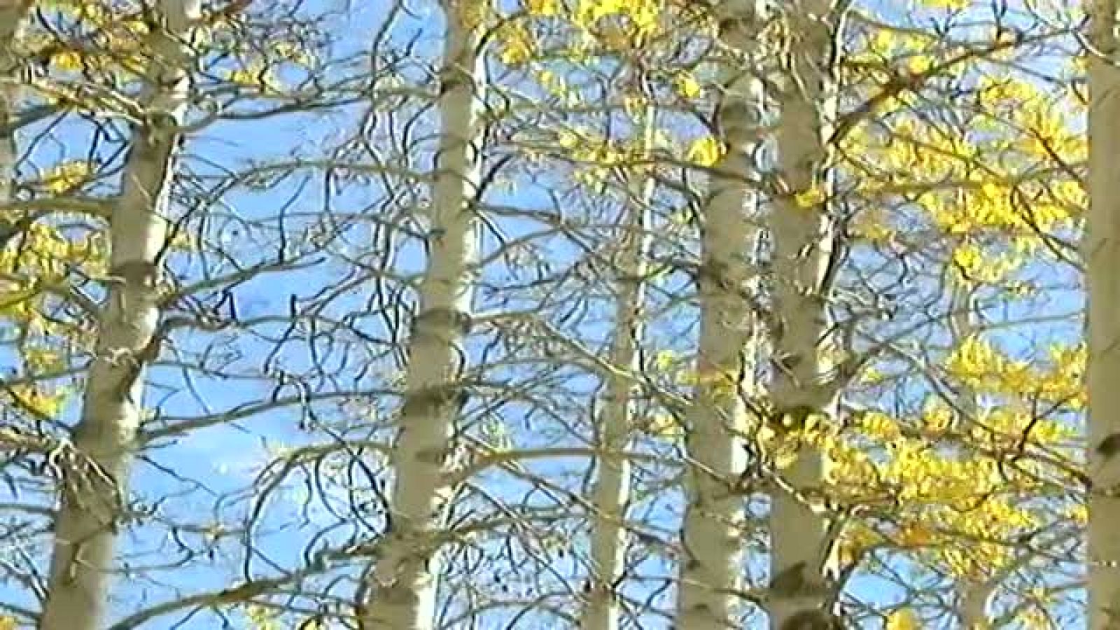 El tiempo en Galicia - 19/12/11