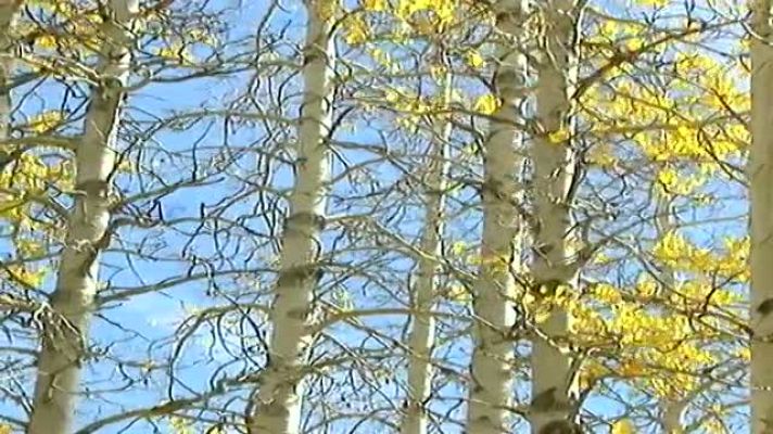 Telexornal - Galicia - El tiempo en Galicia - 19/12/11