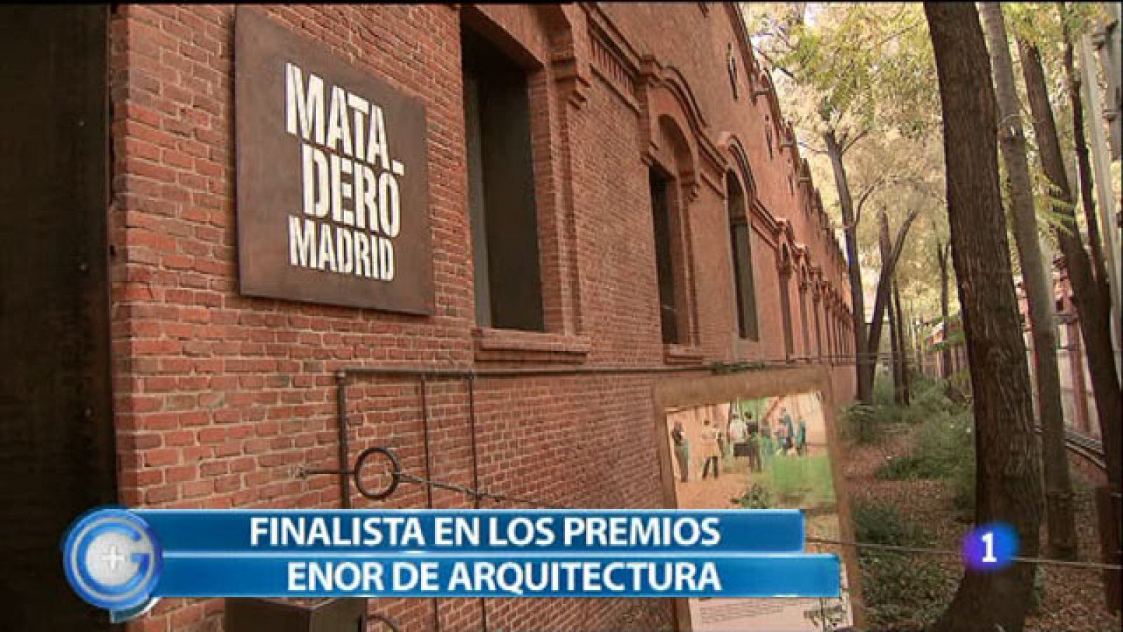 Más Gente - Los arquitectos se reinventan para sortear la crisis