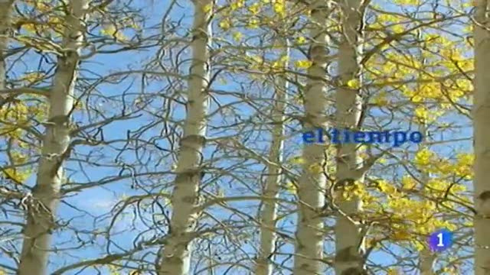 El tiempo en Canarias - 19/12/11 | Ver