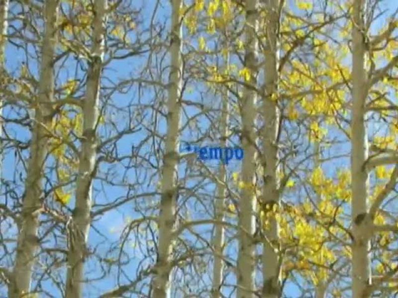 El tiempo en Cantabria - 19/12/11